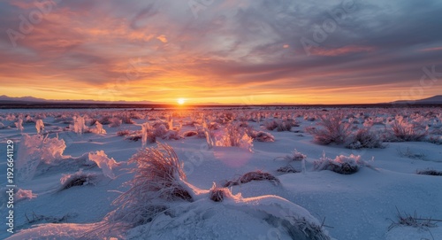 Sunset over fresh snowy fie...