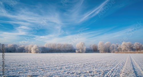 Quiet snowy field with fros...