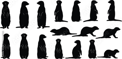 Black and white nature silhouette collection featuring storks, lotus flowers, and various tree outlines for botanical and wildlife vector design