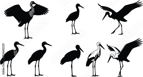 Black and white stork silhouette collection featuring various standing and flying poses of herons and cranes for nature graphic design elements