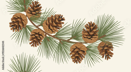 Pine cones and needles on a branch, serene natural scene from a close-up viewpoint