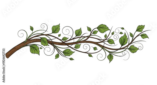 A detailed illustration of a vine with swirling branches and green leaves, showcasing a natural scene from a close-up viewpoint.