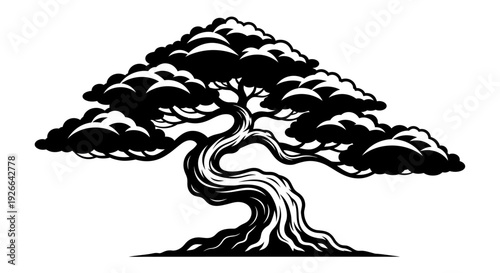 Ancient twisted tree with sprawling branches and gnarled roots, depicted in a stylized black and white illustration from a frontal viewpoint