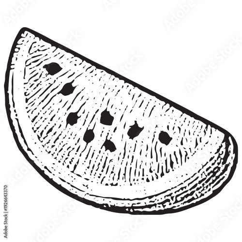 Watermelon Slice Hand-Drawn for Summer Picnic Fruits