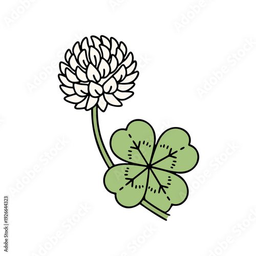 シンプルなシロツメクサのカラーアイコン