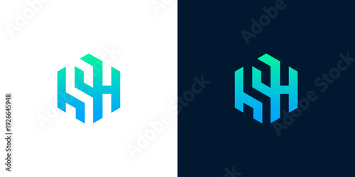 Modern Abstract Hexagon Logo Design with Gradient Colors on White and Dark Backgrounds