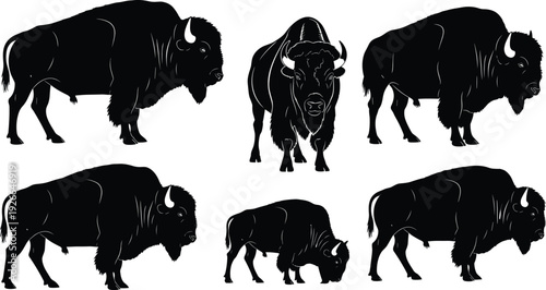 Black buffalo silhouette collection, various standing and grazing American bison poses, wild prairie animal vector set for nature wildlife logo design, (20 words)