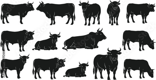Black cow silhouette collection, various standing and grazing cattle poses, bull and dairy cow vector set for farm livestock logo, (20 words)