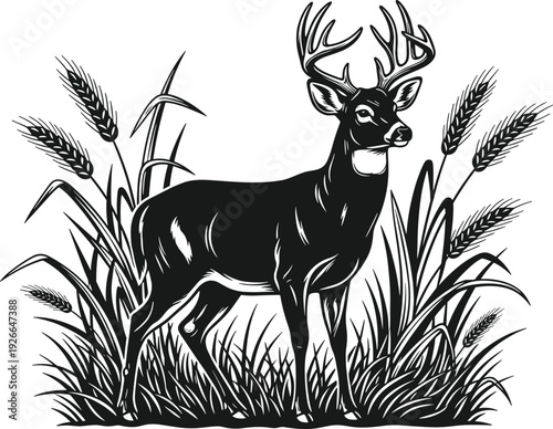 Majestic buck deer standing in tall grass and wheat, black and white vector illustration for hunting logo, wildlife nature design, (20 words)