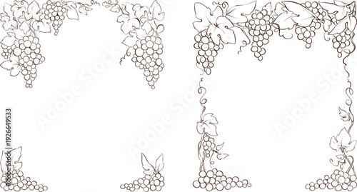 Set of design elements, frames -- vine. Graphic vector illustration, sketch with bunches of grapes in lines, author's hand drawing.