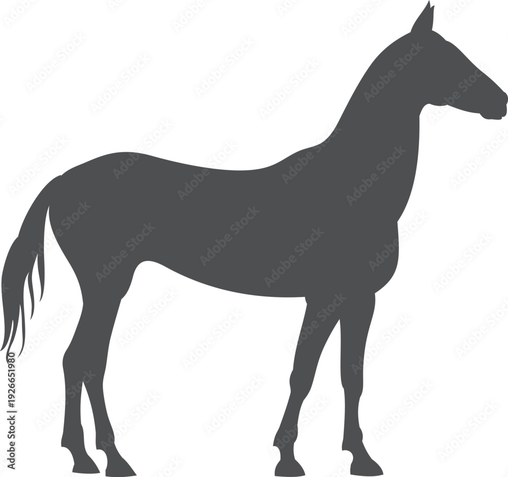 Obraz premium Farm horse black icon. Ranch animal silhouette