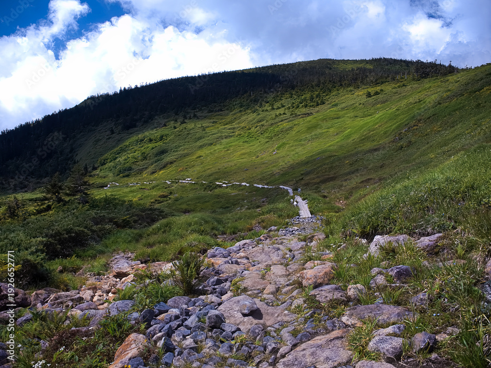 Fototapeta premium Stone Path Leading Into Green Hills