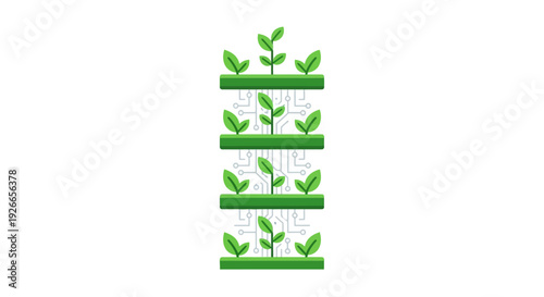 Seedlings Growing in Stages of Development.