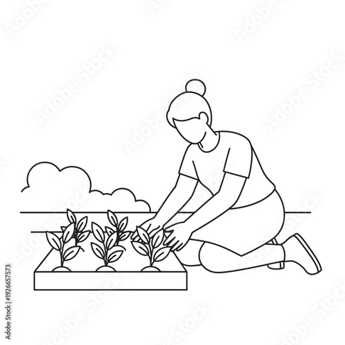 A woman kneeling and carefully planting small seedlings in a raised garden bed, depicted in a clean line art illustration style.