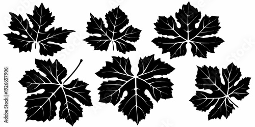 Black silhouettes of various grape leaves on a white background