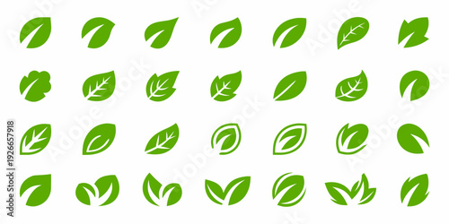 Collection of vibrant green leaves in various shapes and orientations