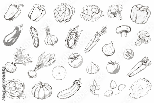 A collection of hand drawn vegetables and produce in monochrome