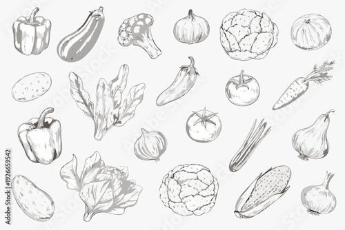 A collection of hand drawn vegetables in grayscale including peppers and squash