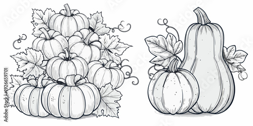 A detailed sketch of pumpkins gourds and leafy vines