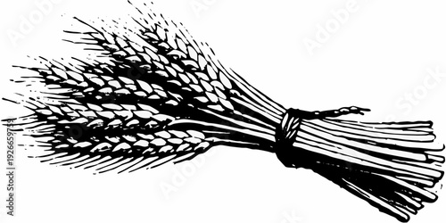 A detailed illustration of a bundle of golden wheat stalks tied together