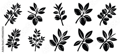silhouette nature almond branch drawing icons and set of graphics nature elements