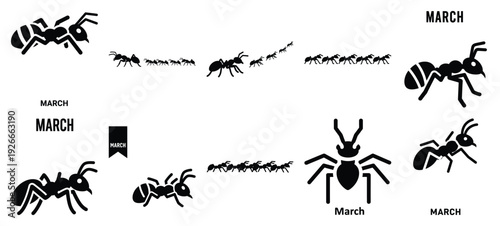 silhouette nature ant march drawing icons and set of graphics nature elements