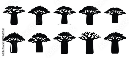 silhouette nature baobab tree drawing icons and set of graphics nature elements