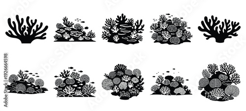silhouette nature coral reef drawing icons and set of graphics nature elements