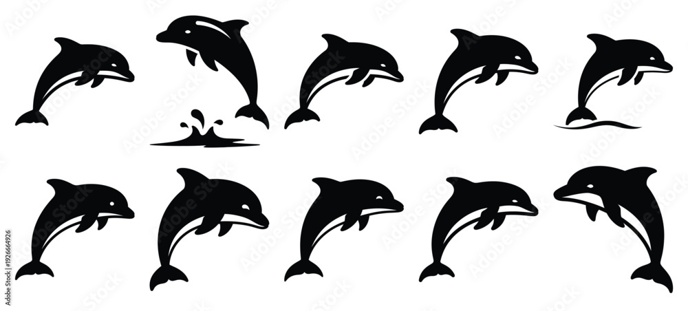 Obraz premium silhouette nature dolphin jump drawing icons and set of graphics nature elements