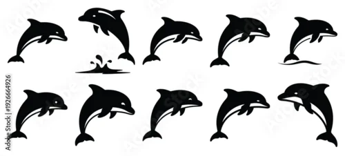 Naklejka na ścianę silhouette nature dolphin jump drawing icons and set of graphics nature elements