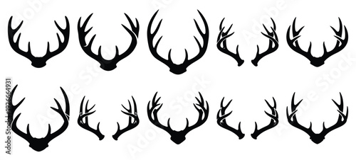 silhouette nature deer antler drawing icons and set of graphics nature elements