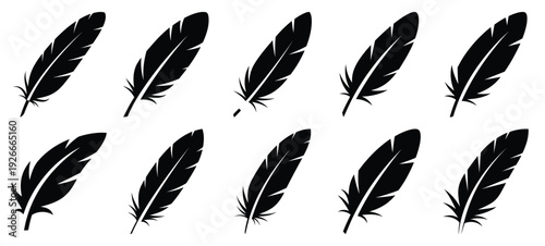 silhouette nature feather light drawing icons and set of graphics nature elements