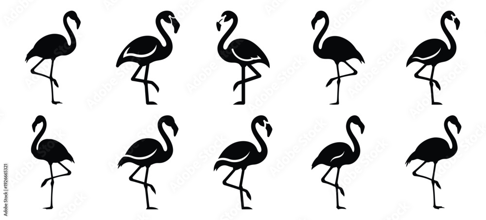 Obraz premium silhouette nature flamingo stand drawing icons and set of graphics nature elements