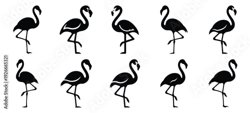 silhouette nature flamingo stand drawing icons and set of graphics nature elements