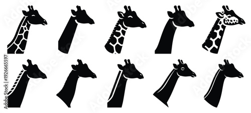 silhouette nature giraffe neck drawing icons and set of graphics nature elements