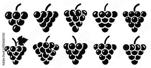 silhouette nature grape cluster drawing icons and set of graphics nature elements
