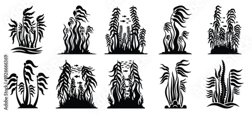 silhouette nature kelp forest drawing icons and set of graphics nature elements