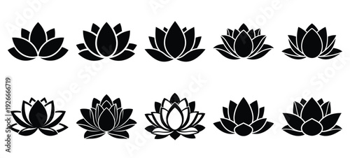 silhouette nature lotus flower drawing icons and set of graphics nature elements