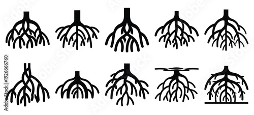 silhouette nature mangrove root drawing icons and set of graphics nature elements