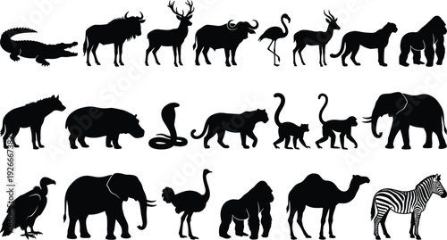 Wild animals silhouettes collection with African safari species including elephant, lion, zebra and gorilla, black vector illustration isolated on white background
