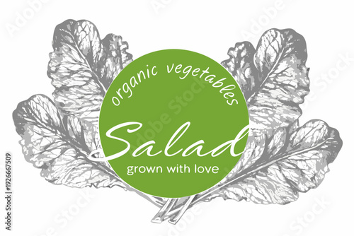 Sketch of leafy greens framing a circular salad label with text