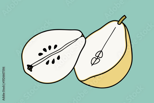 Illustration of a halved asian pear with seeds simple and colorful