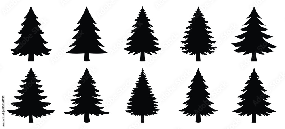 Obraz premium silhouette nature pine tree drawing icons and set of graphics nature elements