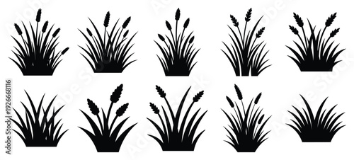 silhouette nature prairie grass drawing icons and set of graphics nature elements