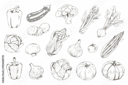 A collection of sketched vegetables including peppers eggplant and broccoli