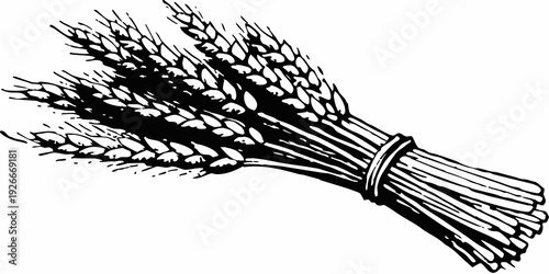 A detailed black and white illustration of bundled wheat stalks
