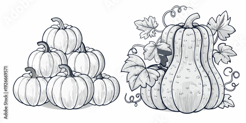A monochrome illustration of stacked pumpkins and a gourd with leaves