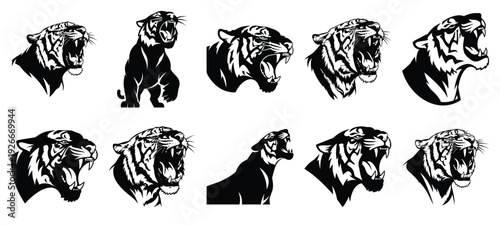 silhouette nature tiger roar drawing icons and set of graphics nature elements