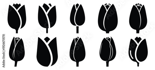 silhouette nature tulip bud drawing icons and set of graphics nature elements