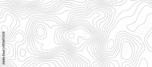 Modern topographical contour map background. topography wavy geometric lines relief surface pattern abstract vector illustration.